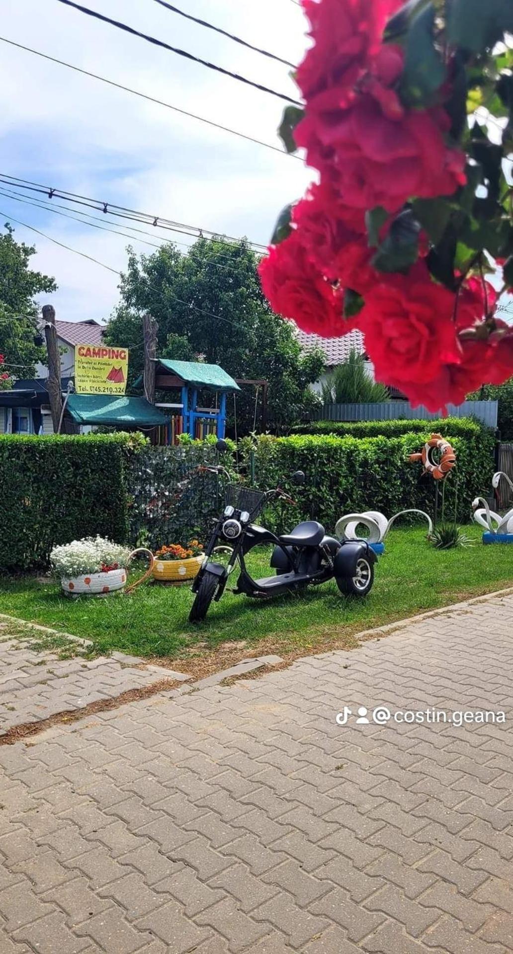 Camping Casuta Mihaela Crisan  Zimmer foto