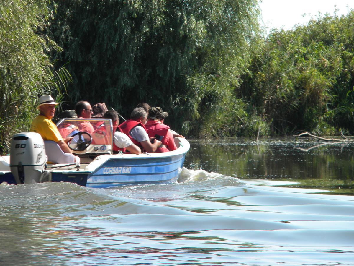 Camping Casuta Mihaela Crisan  Exterior foto
